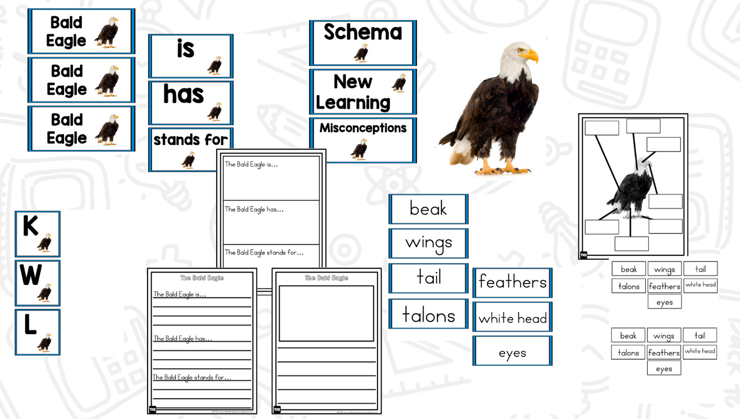 American Symbols, 9/11, Constitution Day: Social Studies Activities