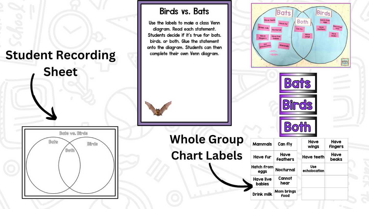 All About Bats: Science Activities for Kindergarten And First Grade