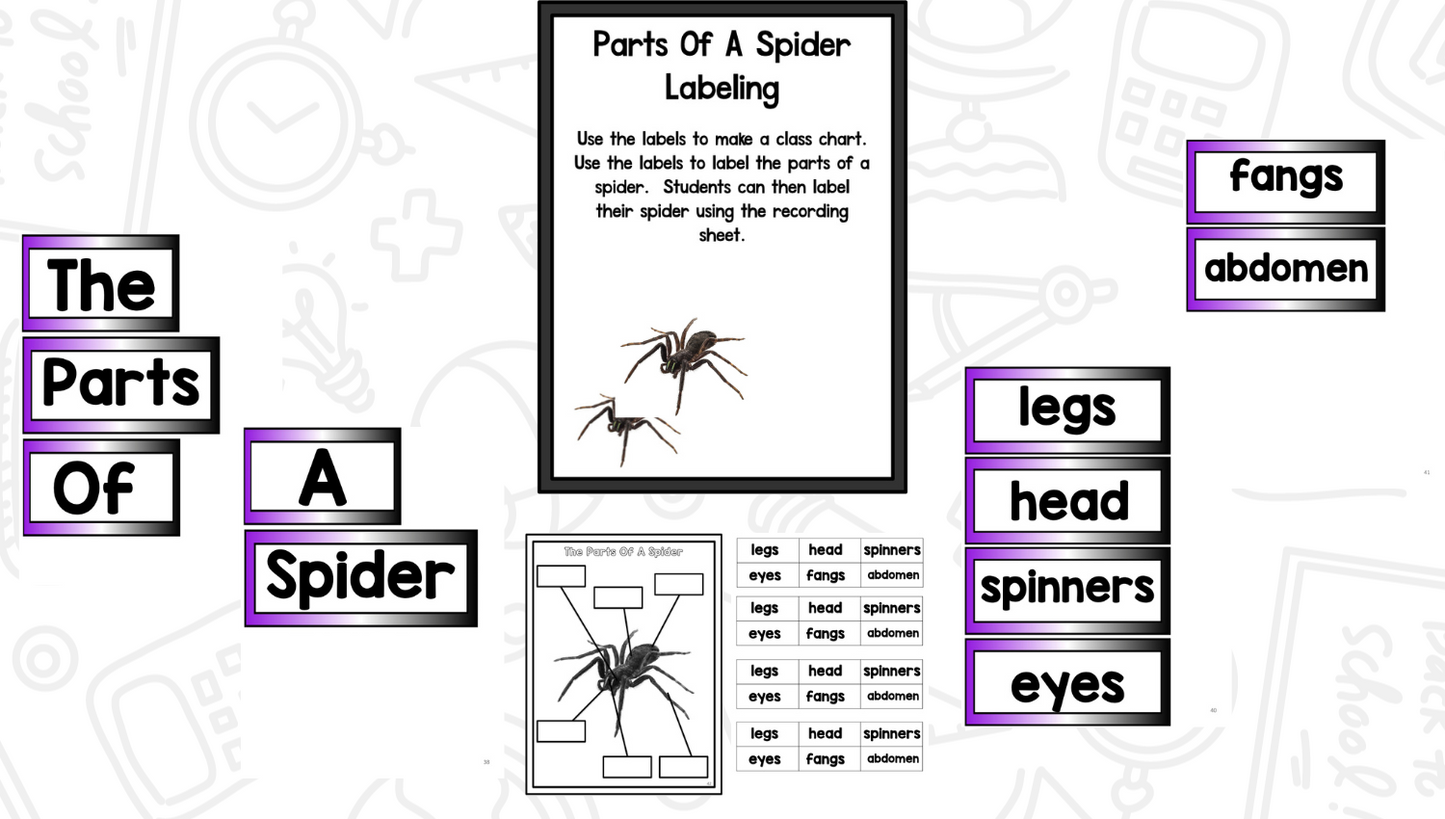 All About Spiders: Science Activities for Kindergarten And First Grade