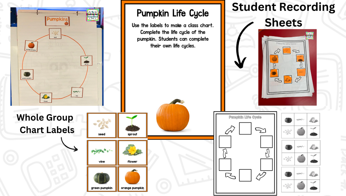 All About Pumpkins: Science And Pumpkin Activities