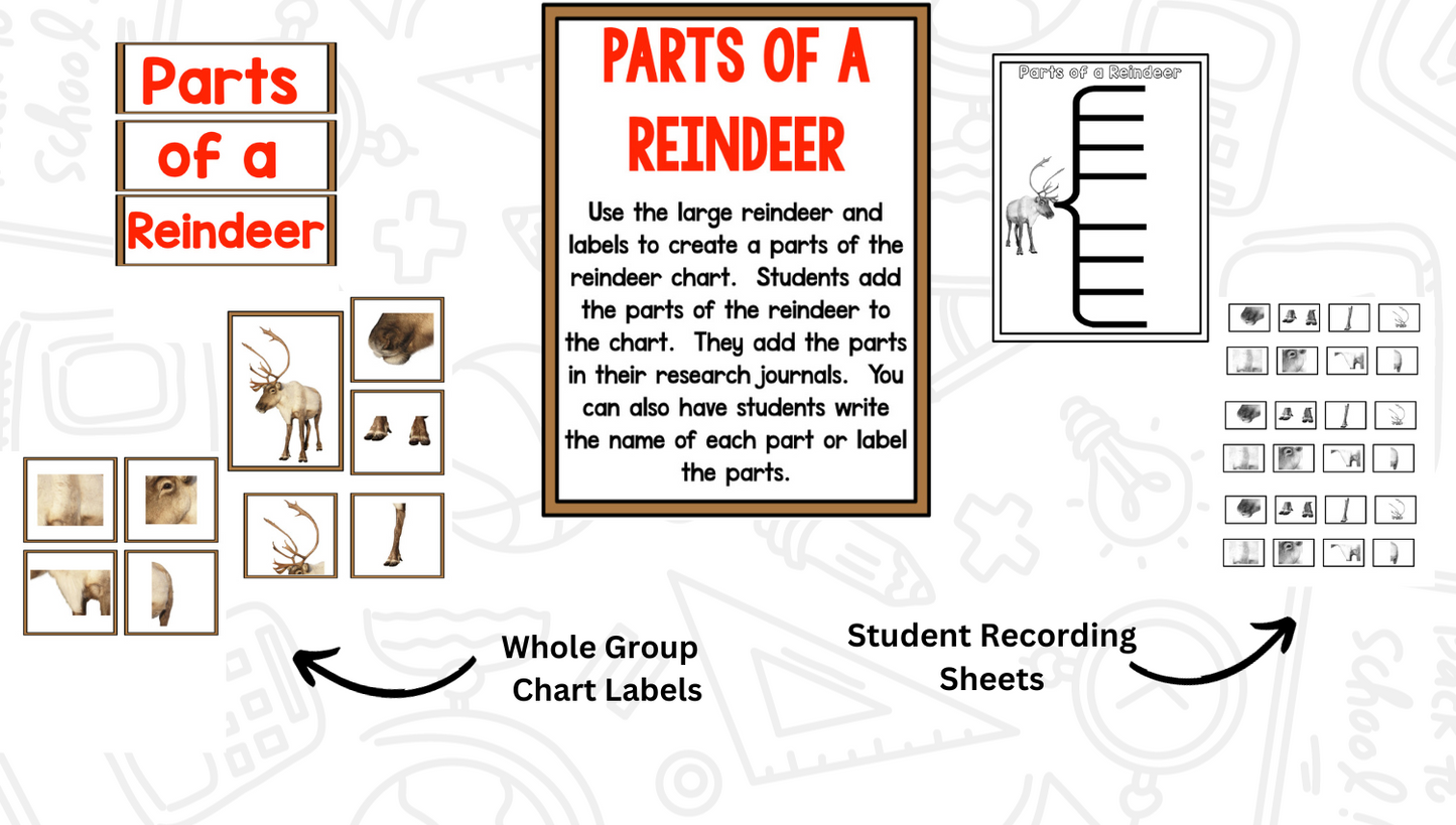 Reindeer: A Research and Writing Project PLUS Centers!