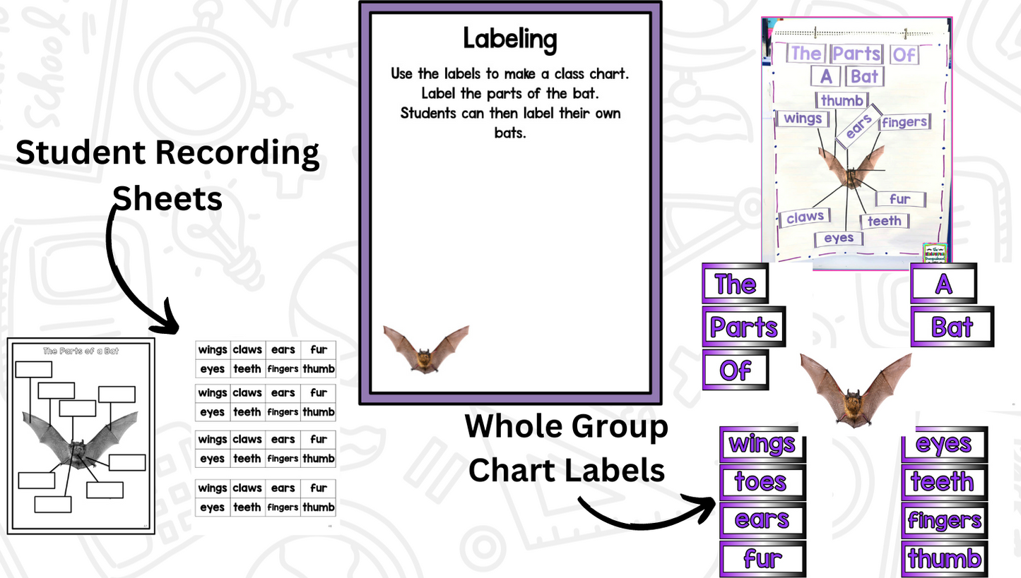 All About Bats: Science Activities for Kindergarten And First Grade
