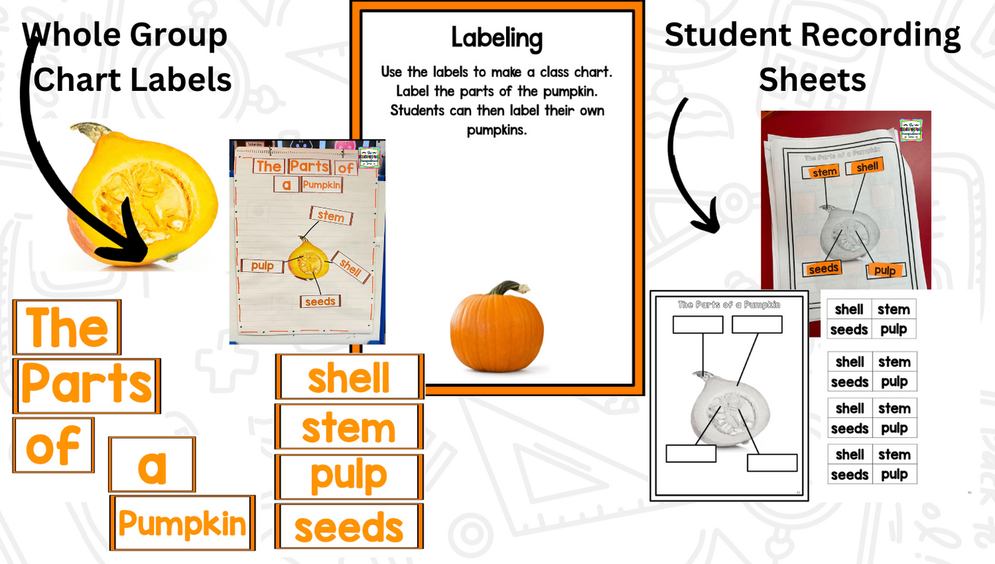 All About Pumpkins: Science And Pumpkin Activities