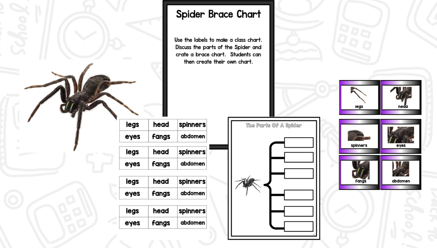 All About Spiders: Science Activities for Kindergarten And First Grade