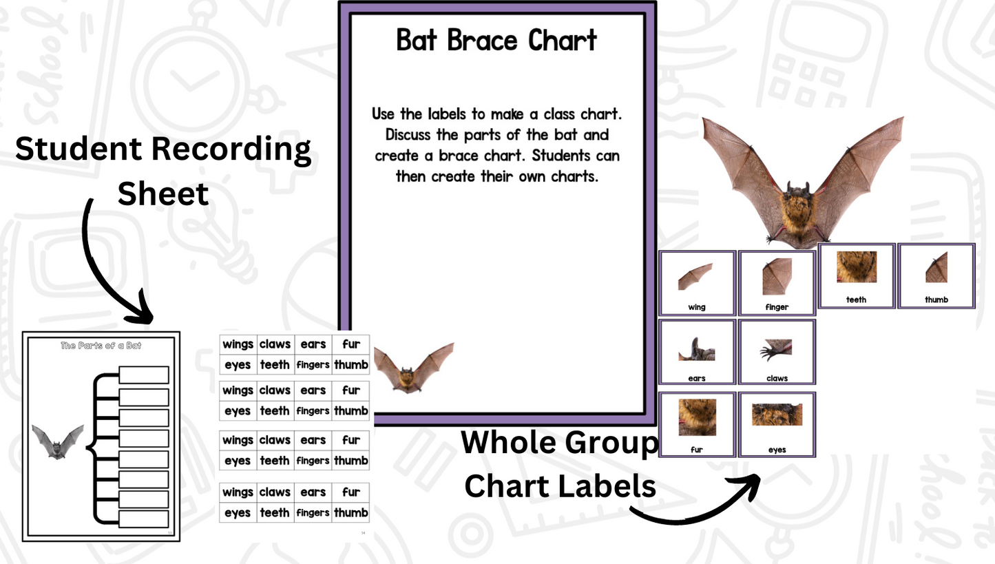 All About Bats: Science Activities for Kindergarten And First Grade