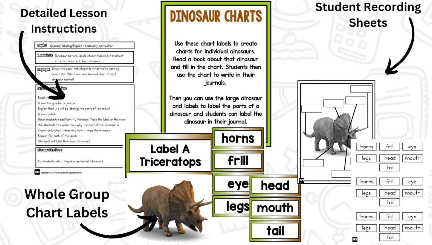 Dinosaur Research Project