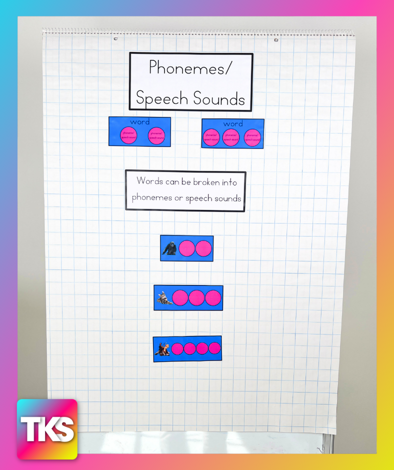 Phonemic Awareness Bootcamp™