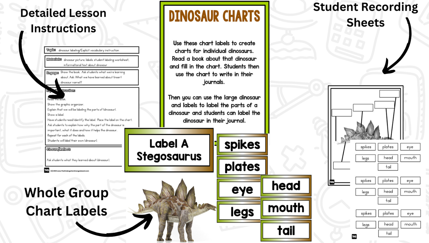 Dinosaur Research Project