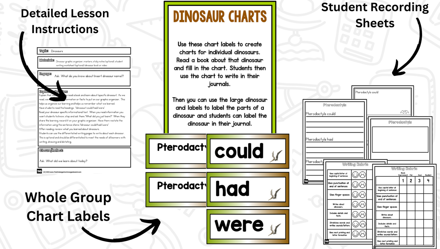 Dinosaur Research Project