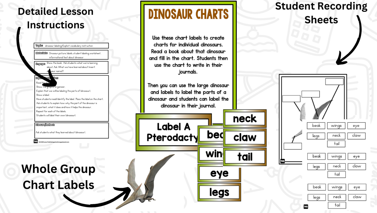 Dinosaur Research Project