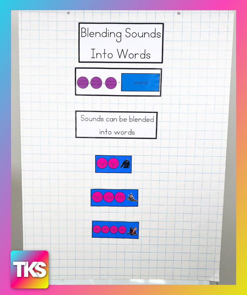 Phonemic Awareness Bootcamp™
