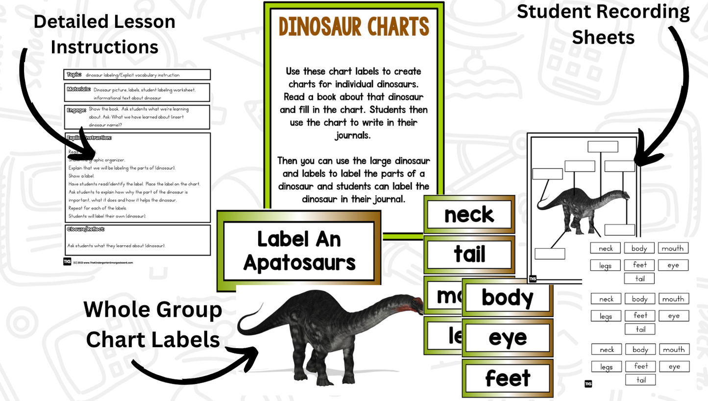 Dinosaur Research Project