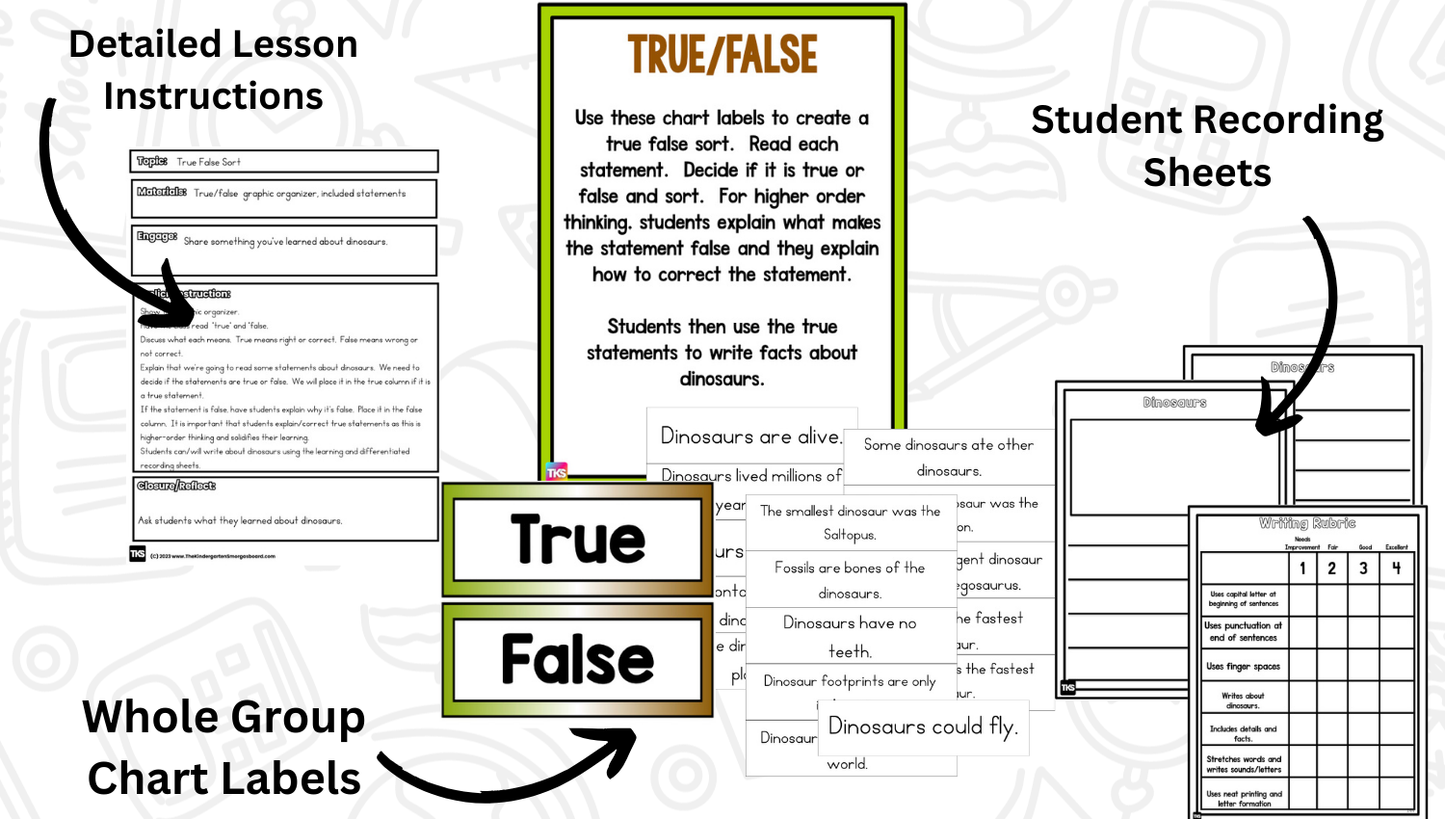 Dinosaur Research Project