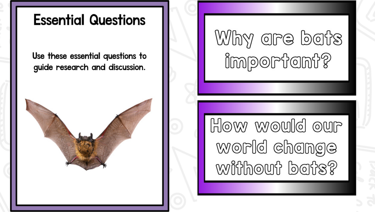 All About Bats: Science Activities for Kindergarten And First Grade
