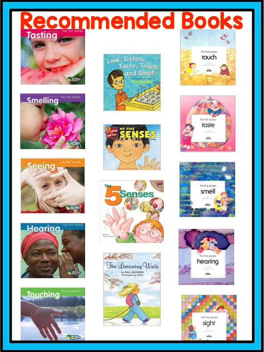 Five Senses Unit And 5 Senses Worksheets