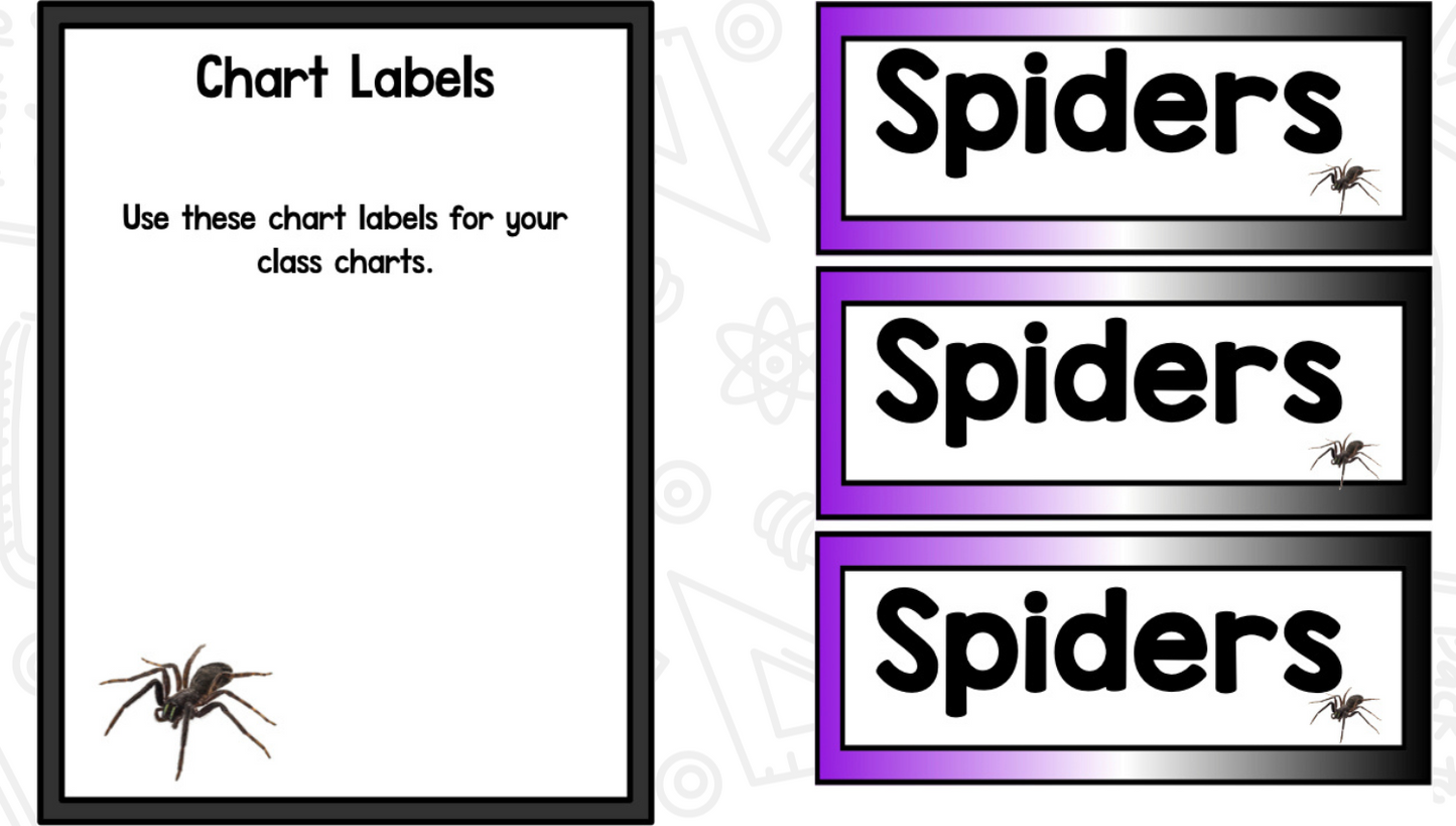 All About Spiders: Science Activities for Kindergarten And First Grade