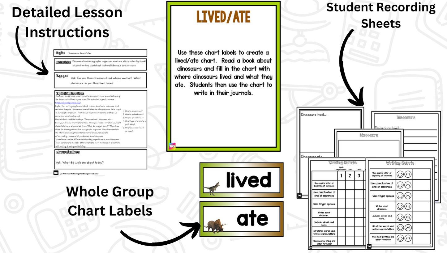 Dinosaur Research Project