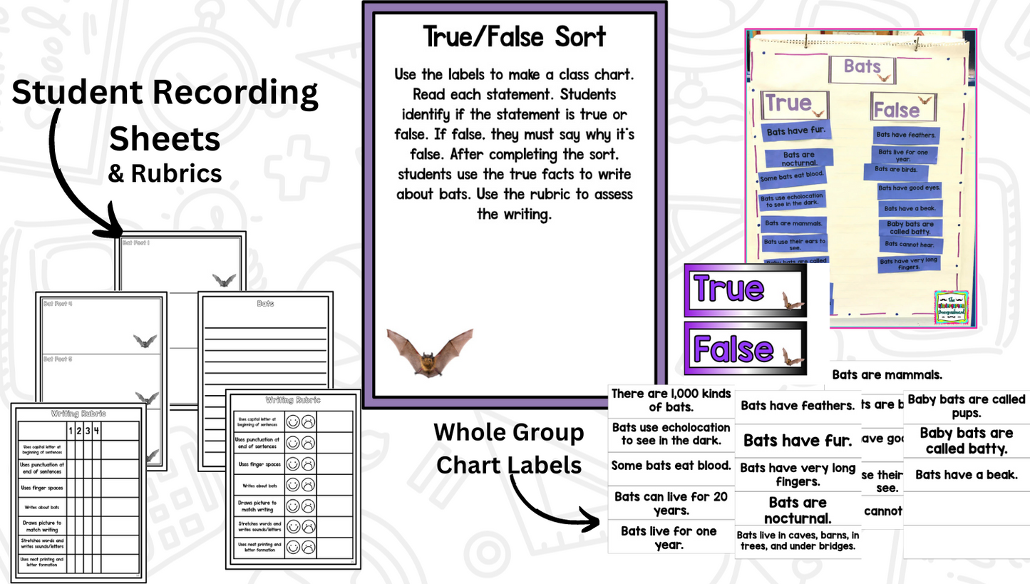 All About Bats: Science Activities for Kindergarten And First Grade
