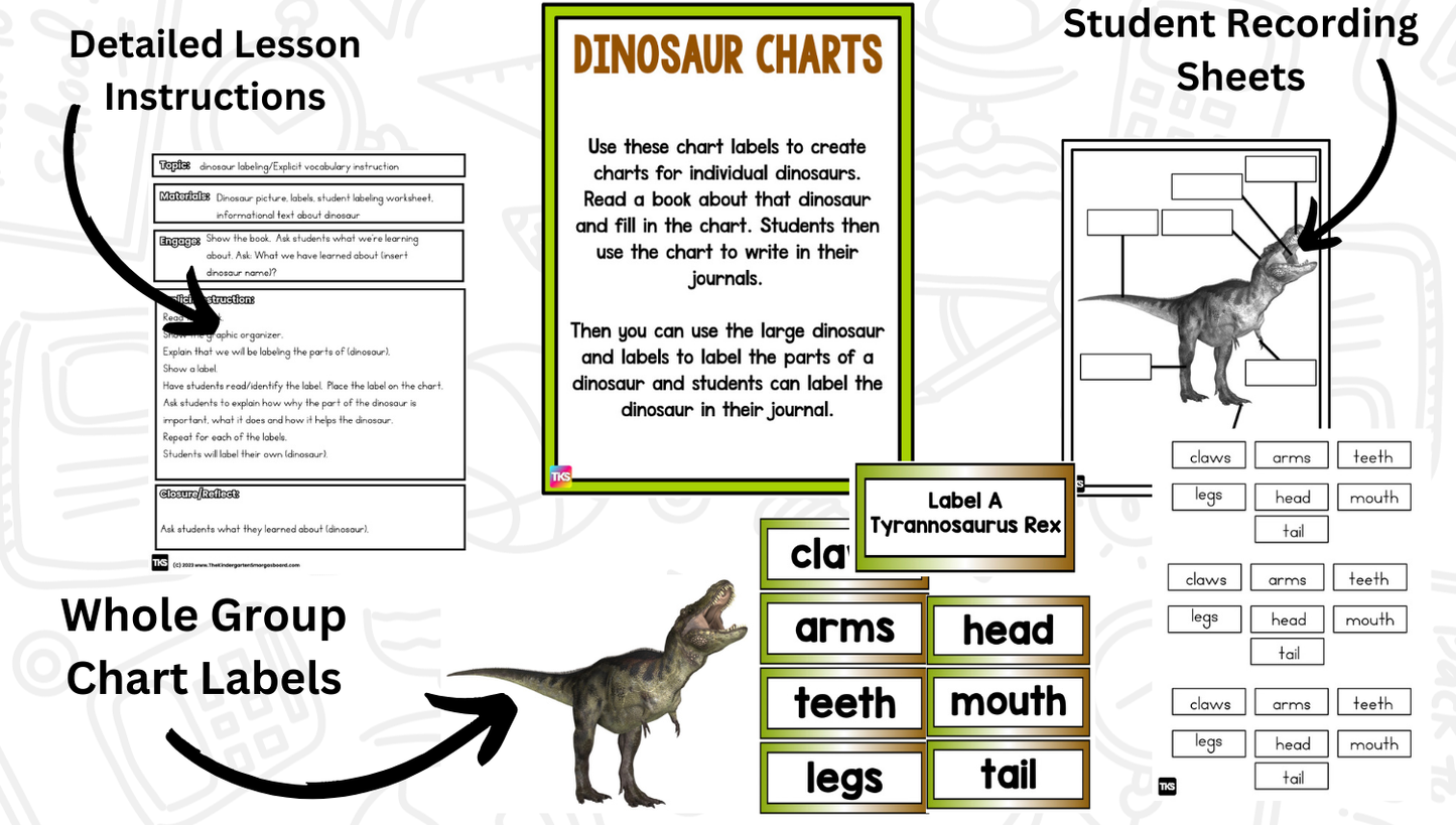 Dinosaur Research Project