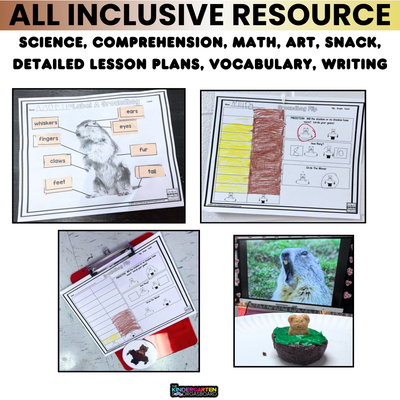 Groundhog Day Activities! Groundhog Craft!