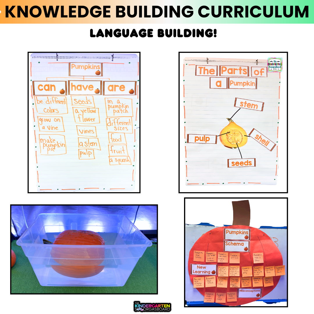 All About Pumpkins: Science And Pumpkin Activities