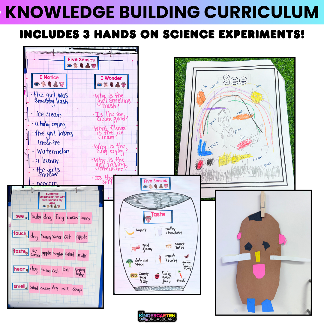 Five Senses Unit And 5 Senses Worksheets
