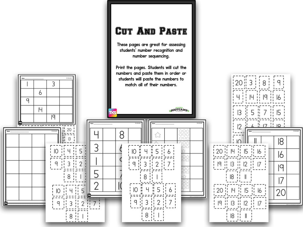 Number Bootcamp: Numbers and Counting 1-20 (No Theme)