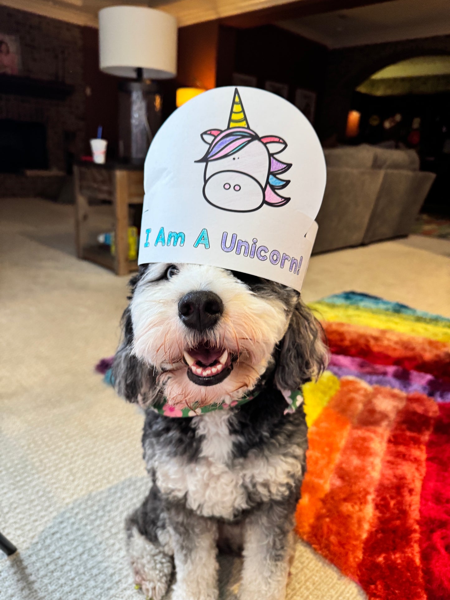 Read It Up! Thelma The Unicorn