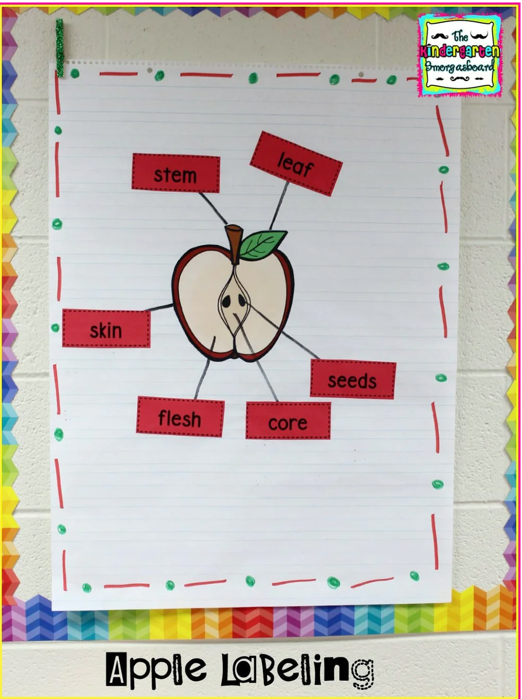 Apples Literacy And Science Bundle