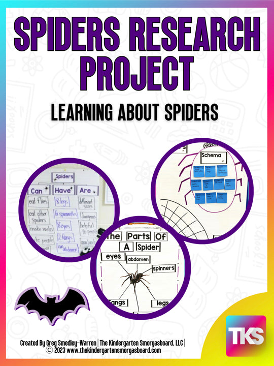 Spider Research Graphic Organizer (Teacher-Made) - Twinkl