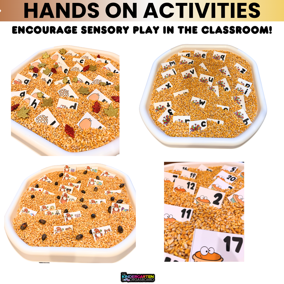 Sensory Bin Activities For The Year! Growing Bundle! 341 Activities!