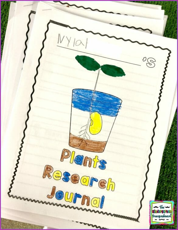 Planting Seeds: A Plants Research and Writing Project PLUS Centers!