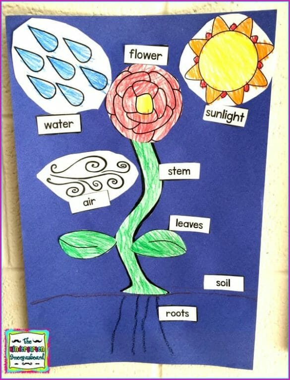 Planting Seeds: A Plants Research and Writing Project PLUS Centers!