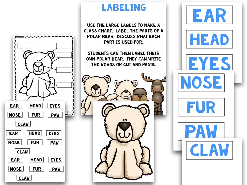 Arctic Animals: A Research and Writing Project PLUS Centers!