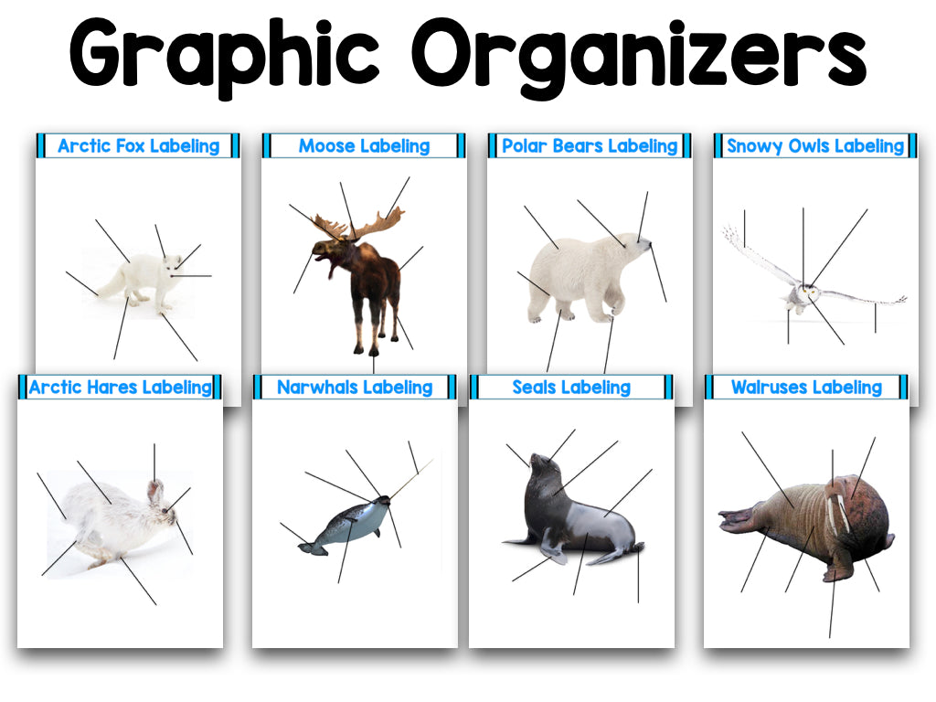 DIGITAL Arctic Animals Research Project