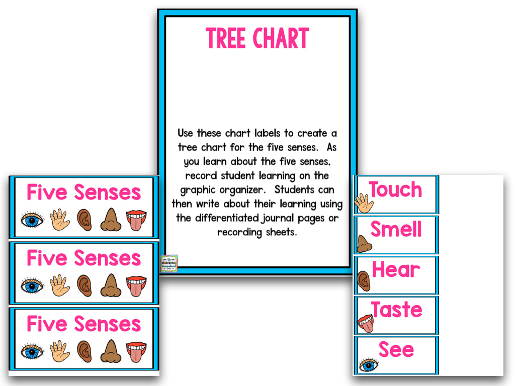 Five Senses Unit And 5 Senses Worksheets