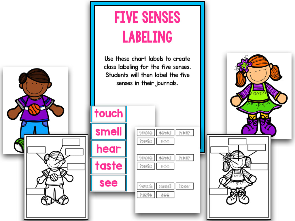 Five Senses Unit And 5 Senses Worksheets