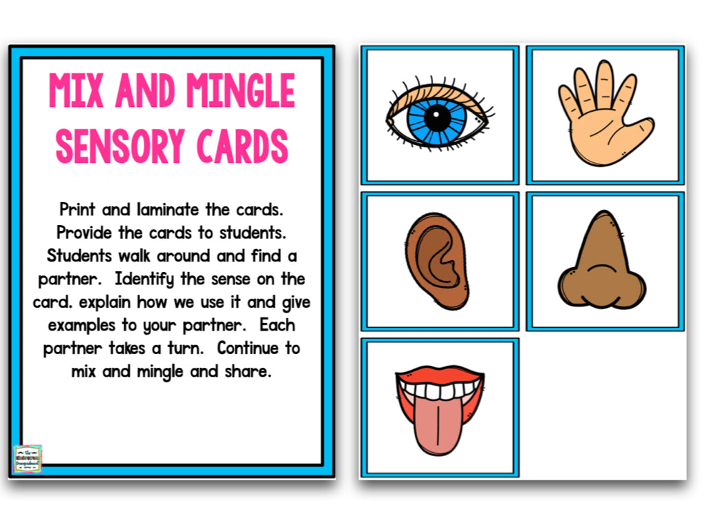 Five Senses Unit And 5 Senses Worksheets