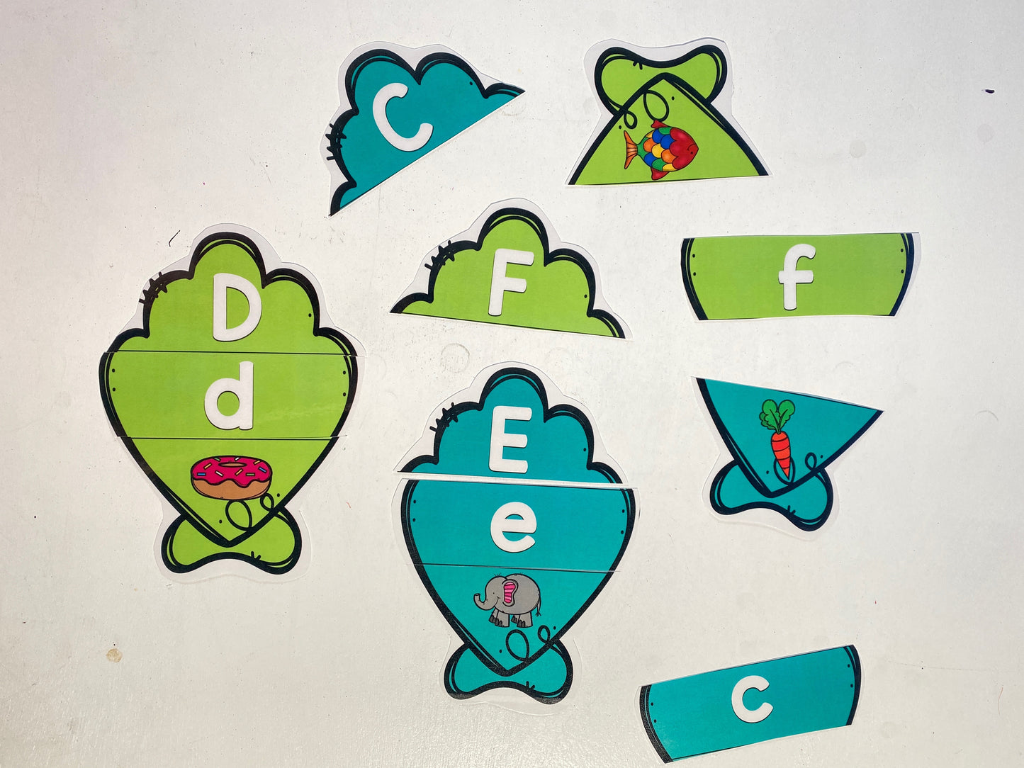 Shell Letters & Sounds