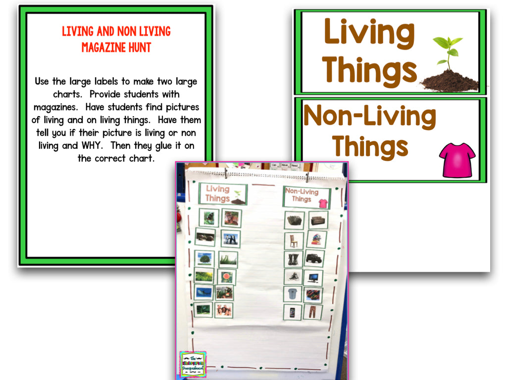 Living and Nonliving: A Research and Writing Project
