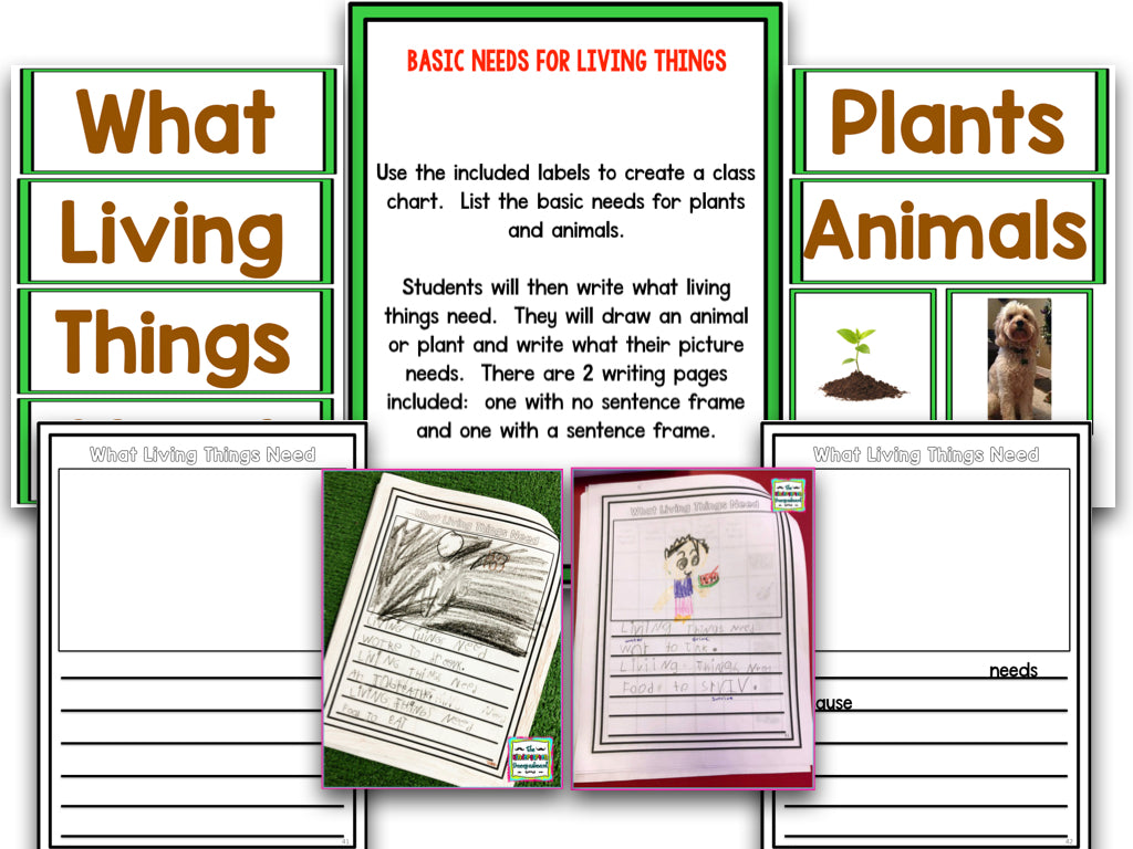 Living and Nonliving: A Research and Writing Project