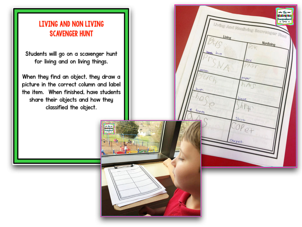 Living and Nonliving: A Research and Writing Project