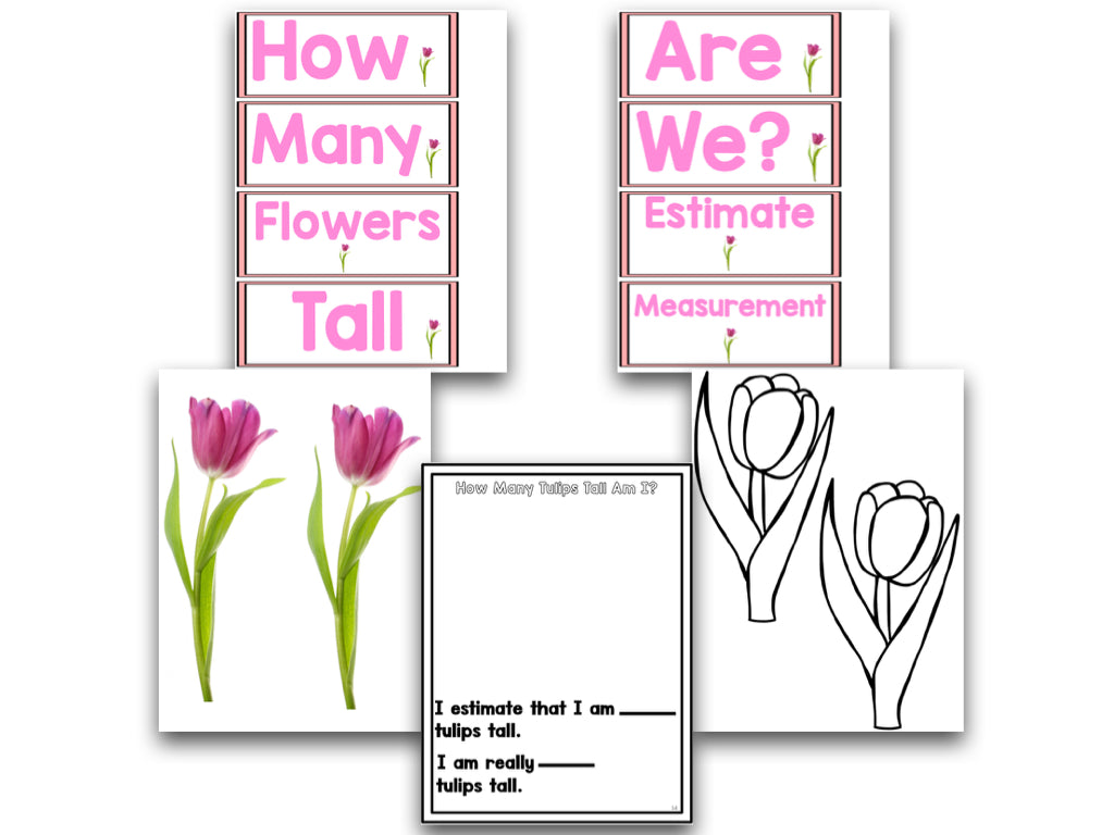 Measure It Up Non-Standard Measurement For The Whole Year
