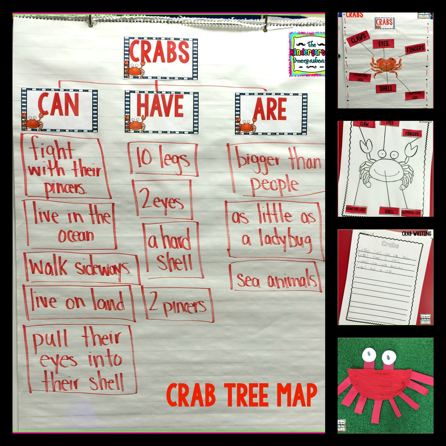 Ocean Animals: A Research and Writing Project PLUS Centers!