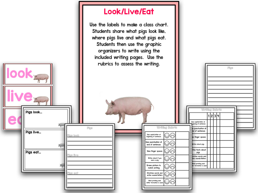 Pig Research and Writing Project