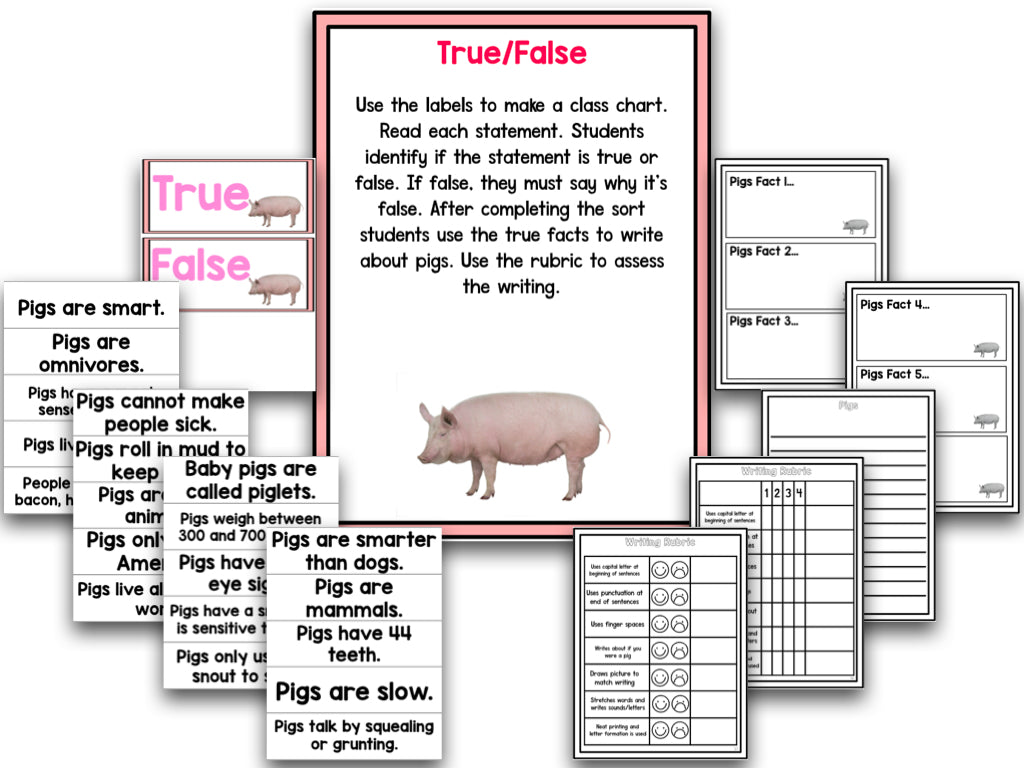 Pig Research and Writing Project