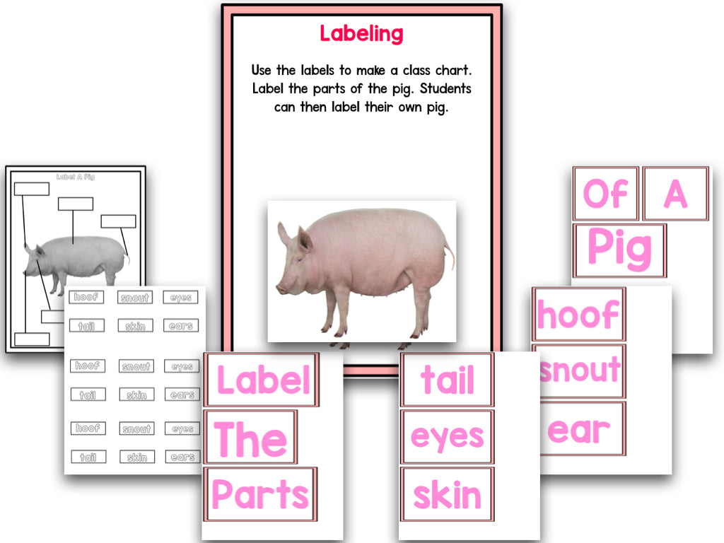 Pig Research and Writing Project