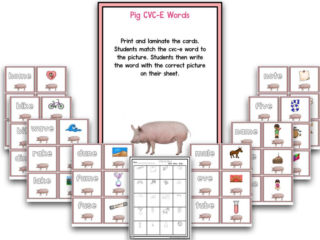 Pig Research and Writing Project