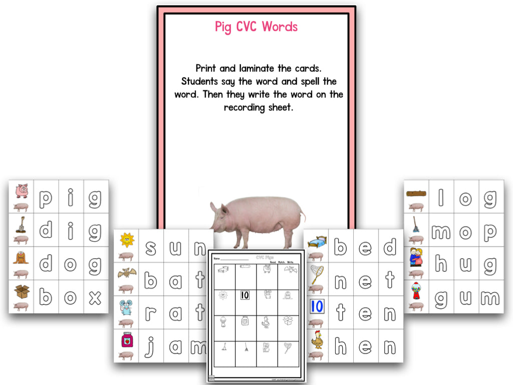 Pig Research and Writing Project