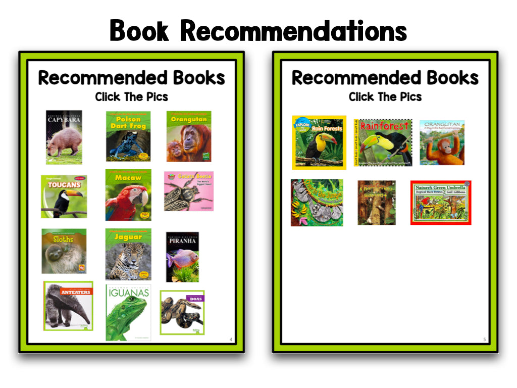 Rainforest Animals Research Project